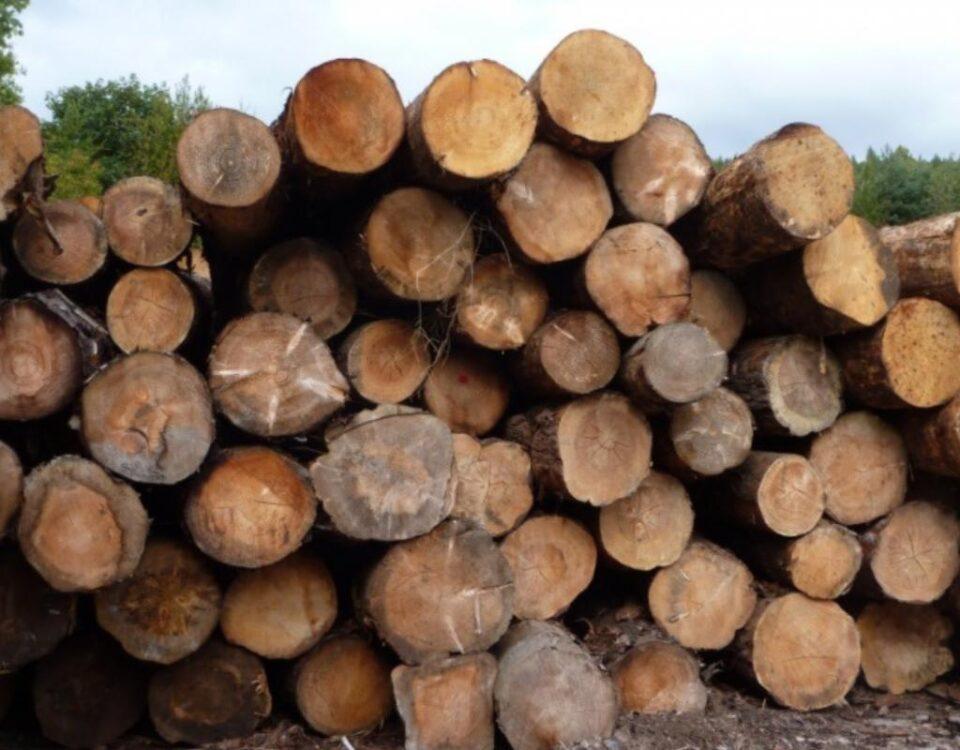 Características de la madera